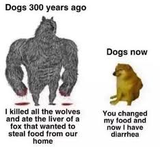 Memes about evolution 